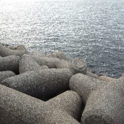 釣りがしやすい気温です