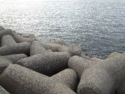 釣りがしやすい気温です