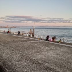 ちょいシブエギング