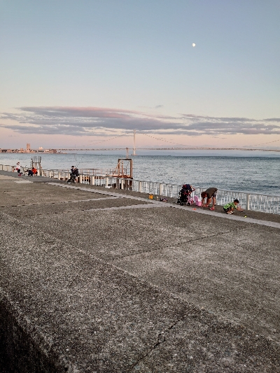 ちょいシブエギング