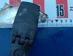 マルアジ乱舞、時々マアジ