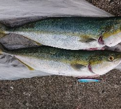 なぶらやばｯｯ