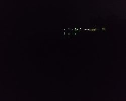 キジハタ、アオリイカ