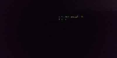 キジハタ、アオリイカ