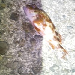 こんなはずでは…