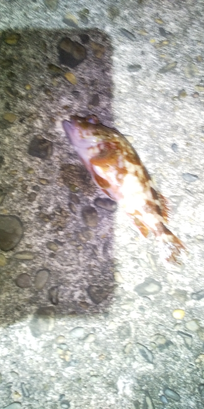 こんなはずでは…