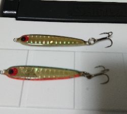 サバでボーズ逃れ~