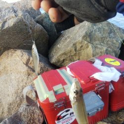 大塩海岸のキス釣り