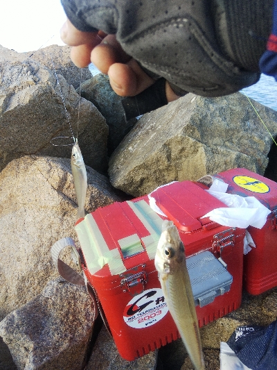 大塩海岸のキス釣り