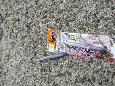 苅屋海岸のキス釣り