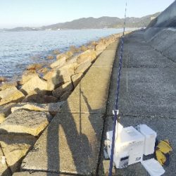 苅屋海岸のキス釣り