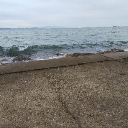 苅屋海岸のキス釣り