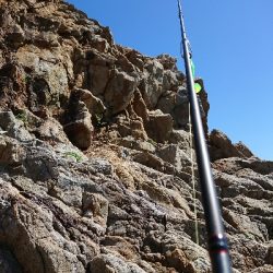 グルーパーゲーム