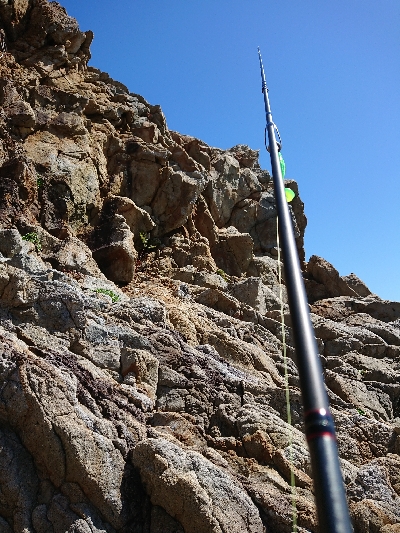 グルーパーゲーム