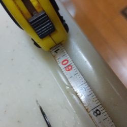 まだまだ小さい