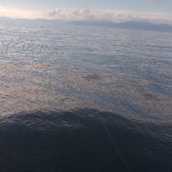 暑いなか何とか…