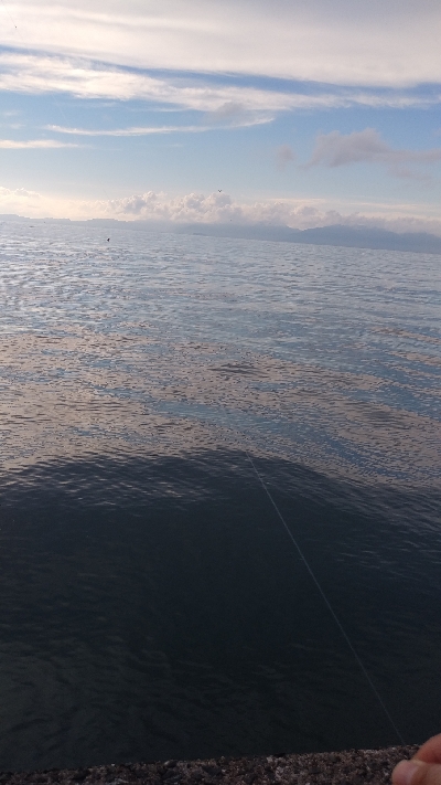 暑いなか何とか…