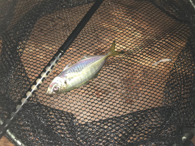 大崎上島ライトゲーム①