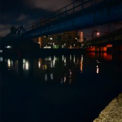 隣のアングラーさんは入れ食い状態に脱帽