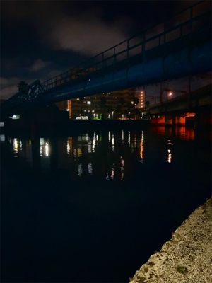 隣のアングラーさんは入れ食い状態に脱帽