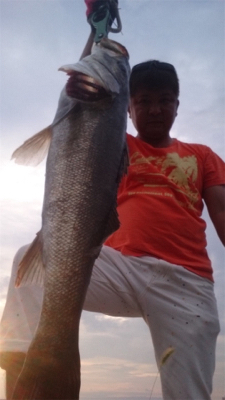 コスモスクエア釣果