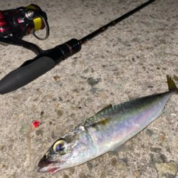 忙しい合間をぬって、、、