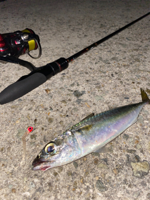 忙しい合間をぬって、、、