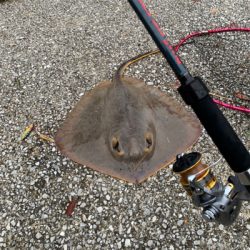 貝塚人工島水路でエーちゃん❗️