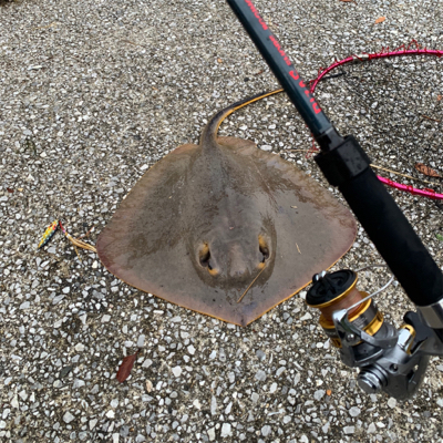 貝塚人工島水路でエーちゃん❗️
