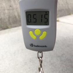 ネリゴが釣れたぞーヽ(^0^)ノ