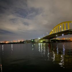 今日もアジ狙いでしたが、、、