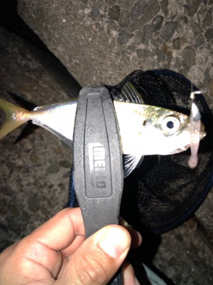 久々ライトゲーム