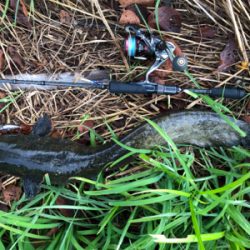 バスハスナマズ