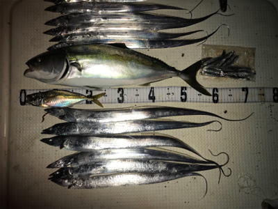 タチウオジギング