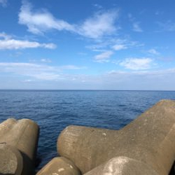 エギング最高！