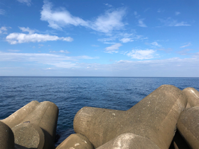 エギング最高！