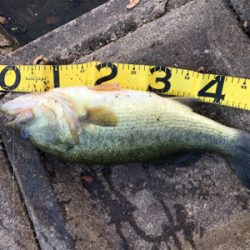 50アップゲット