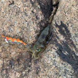 台風前に、、、