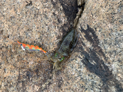 台風前に、、、