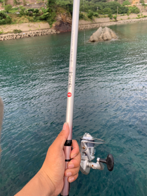 アオリイカを求めて