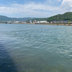 悔しくてチニング へ！