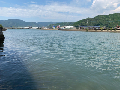 悔しくてチニング へ！