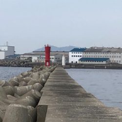 ショアジギングに行きましたが。