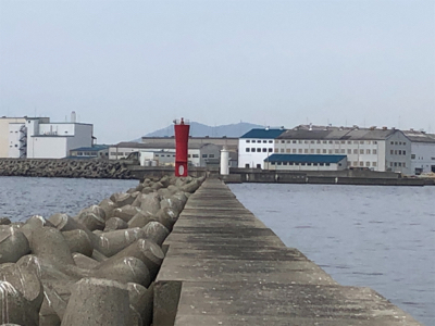 ショアジギングに行きましたが。