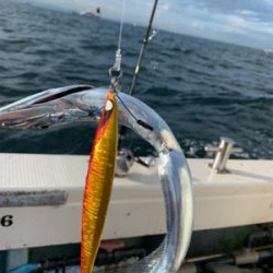 須磨沖タチウオジギング