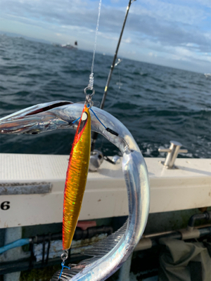 須磨沖タチウオジギング