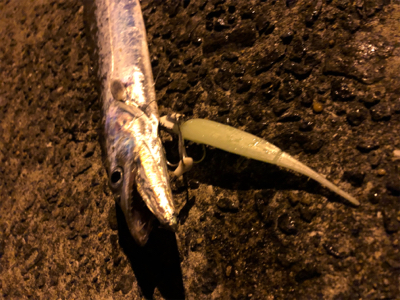 100均ルアー の性能とやら