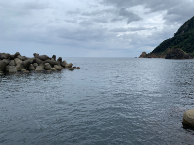 そろそろ秋イカ…