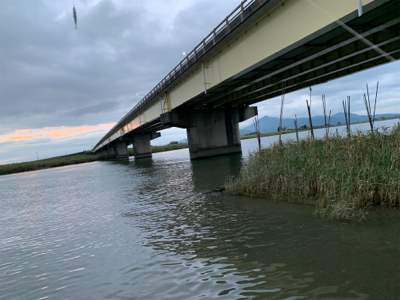 珍しくいい場所が空いていた