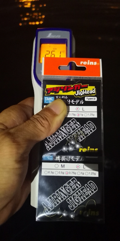 アジング練習 189